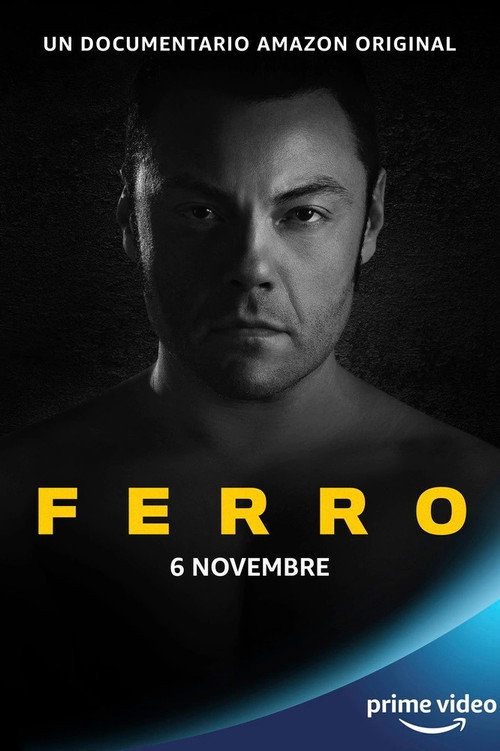 Ferro 海报