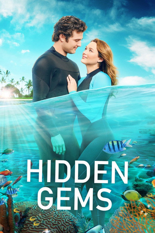 Hidden Gems 海报