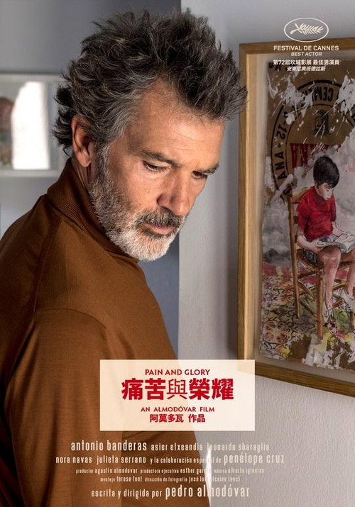 痛苦与荣耀 海报