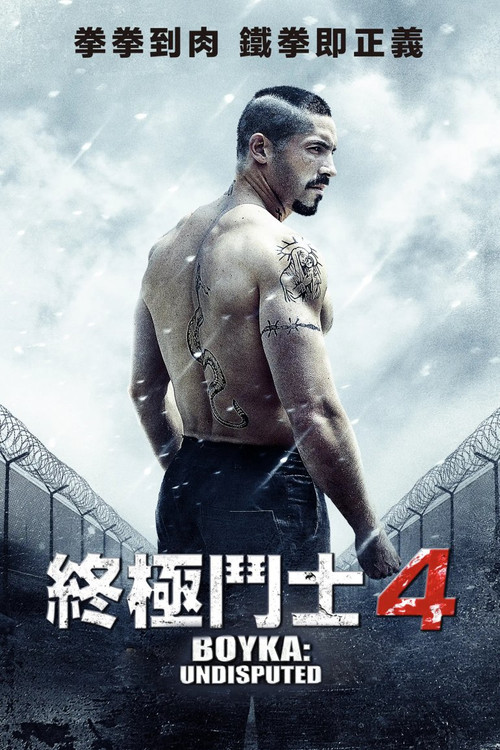 终极斗士4 海报