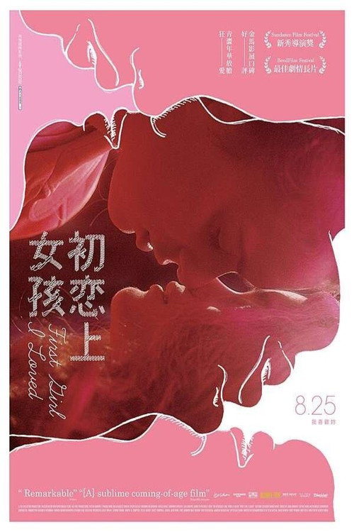 我的初恋女孩 海报