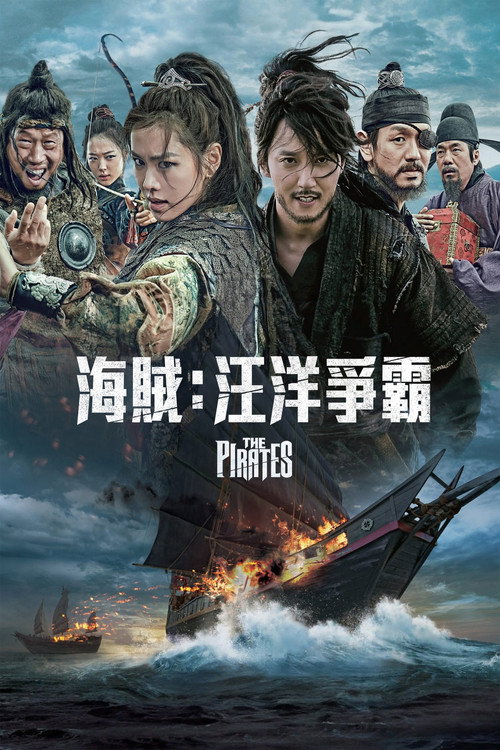 海盗 海报