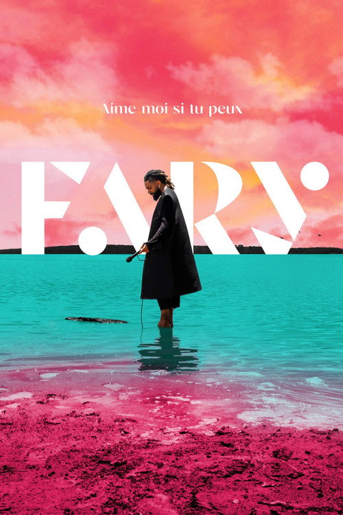 Fary : Aime-moi si tu peux 海报