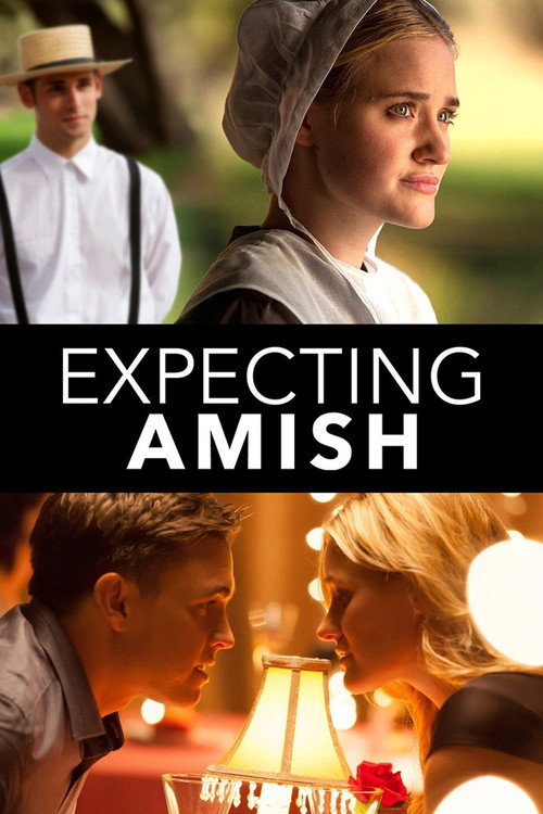 Expecting Amish 海报