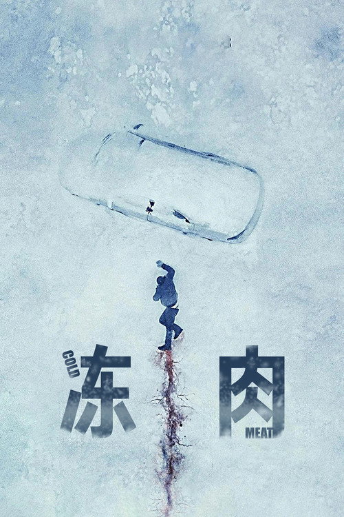 冻肉 海报