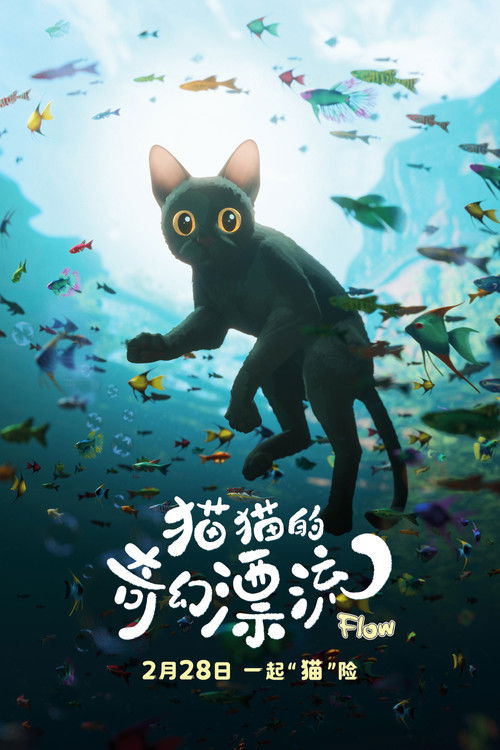 猫猫的奇幻漂流 海报