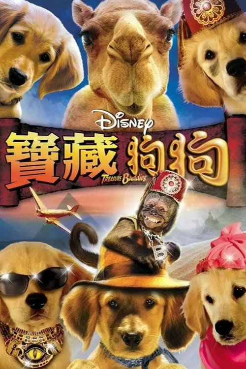 护宝巴迪 海报