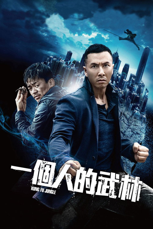一个人的武林 海报