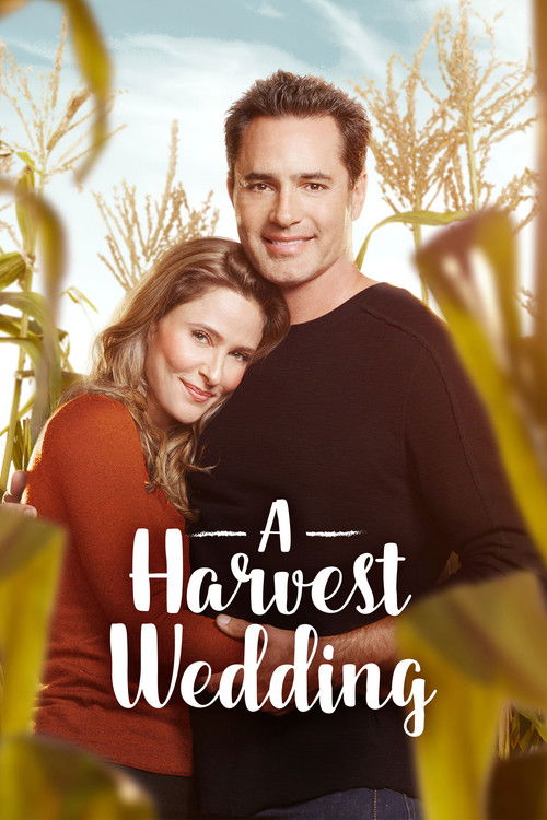 A Harvest Wedding 海报