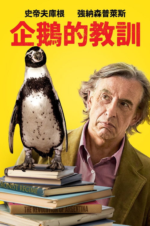 企鹅课 海报