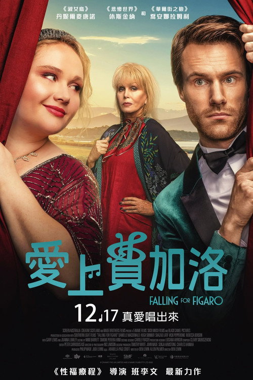 爱上费加罗 海报