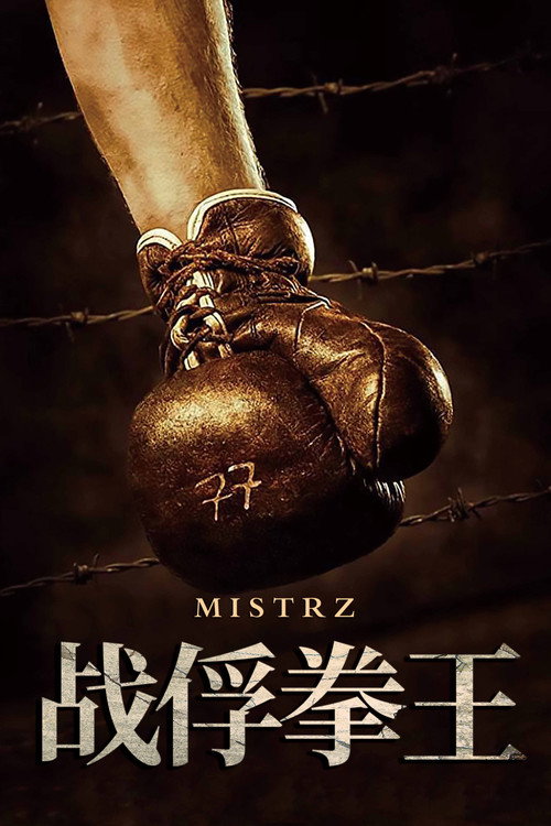 战俘拳王 海报