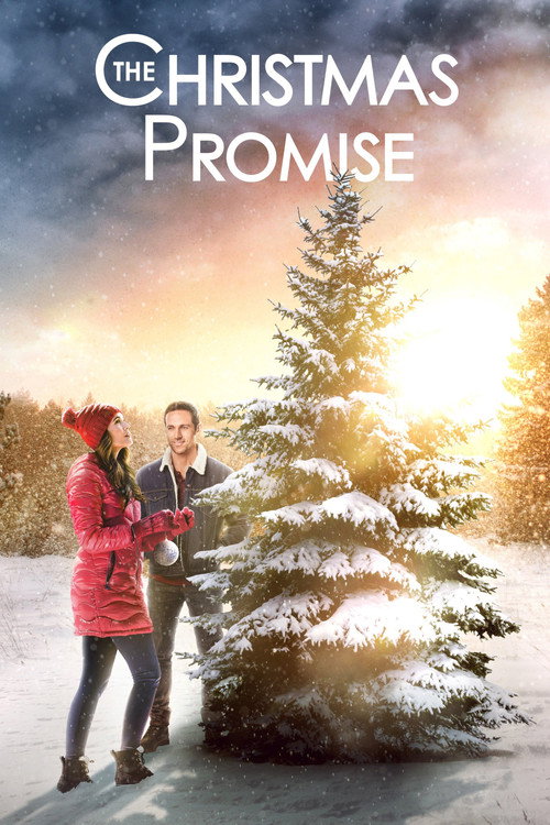 The Christmas Promise 海报