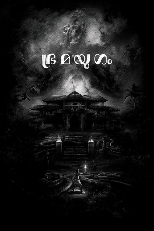 轮回:疯狂时代 海报