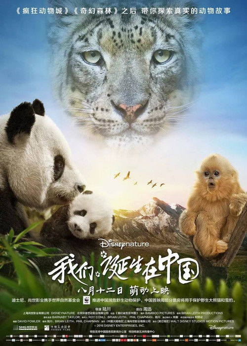 我们诞生在中国 海报