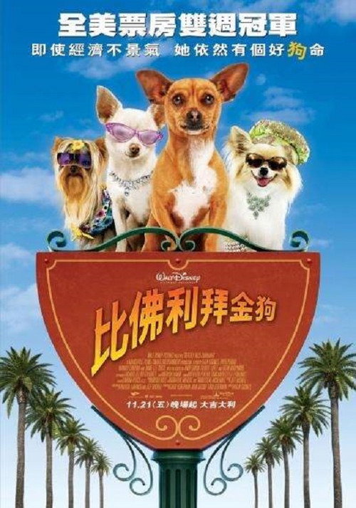 比佛利拜金狗 海报