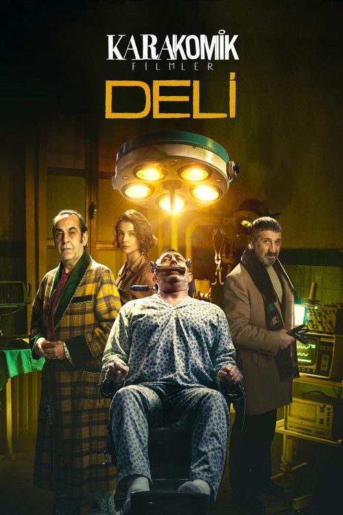 Karakomik Filmler 2: Deli 海报
