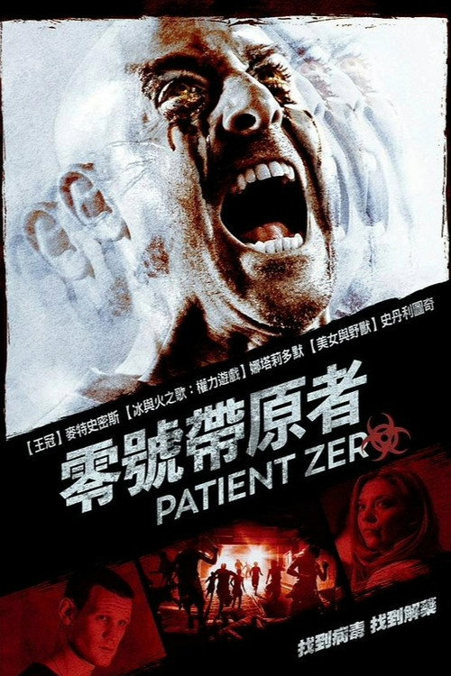 零号病人 海报