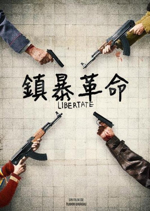 89年的锡比乌 海报