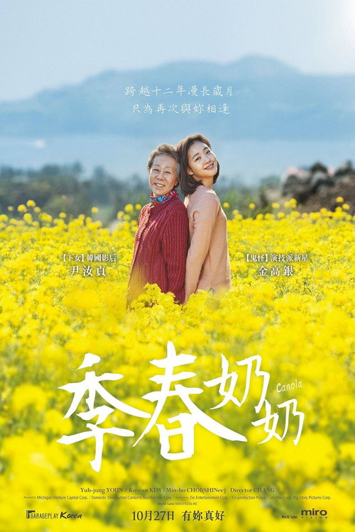 季春奶奶 海报