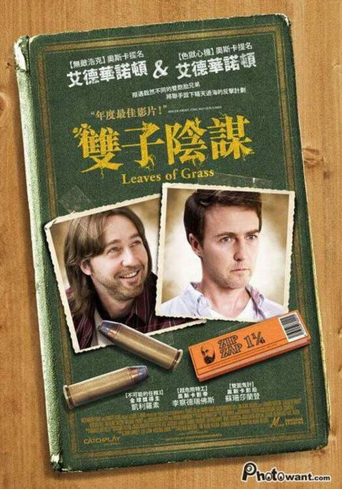 草叶 海报
