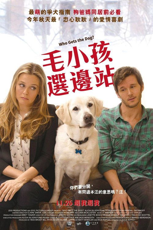 狗狗监护权 海报
