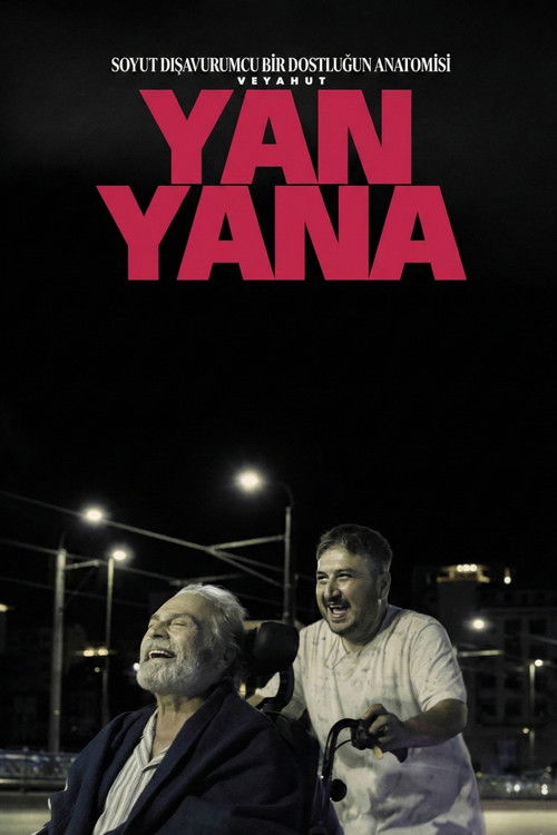 Soyut Dışavurumcu Bir Dostluğun Anatomisi Veyahut Yan Yana 海报
