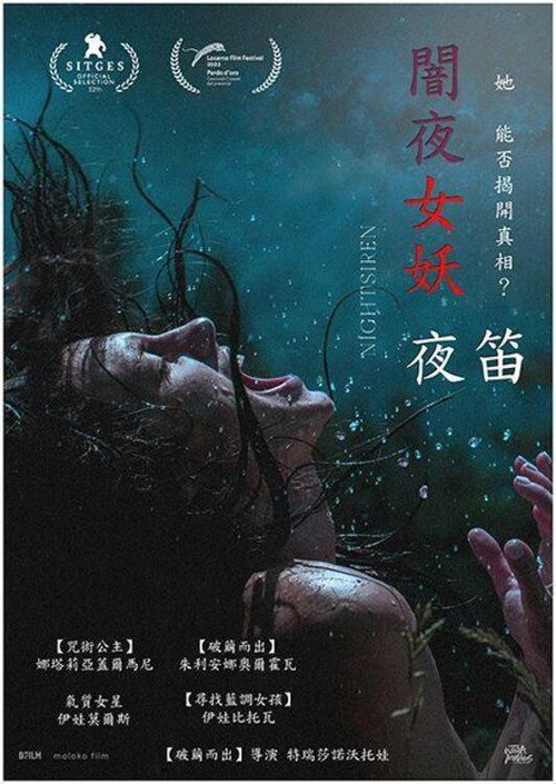 夜间警笛 海报