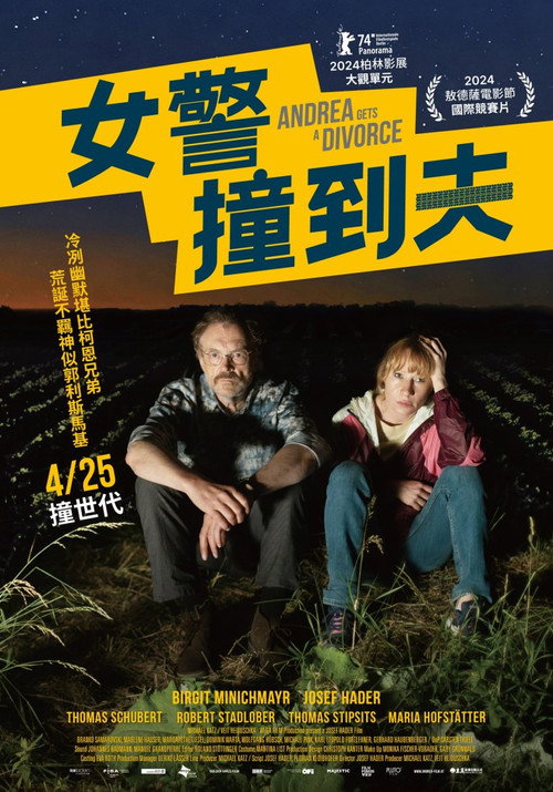 安德里亚离婚记 海报