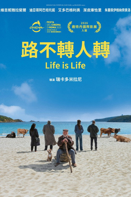 生活如是 海报