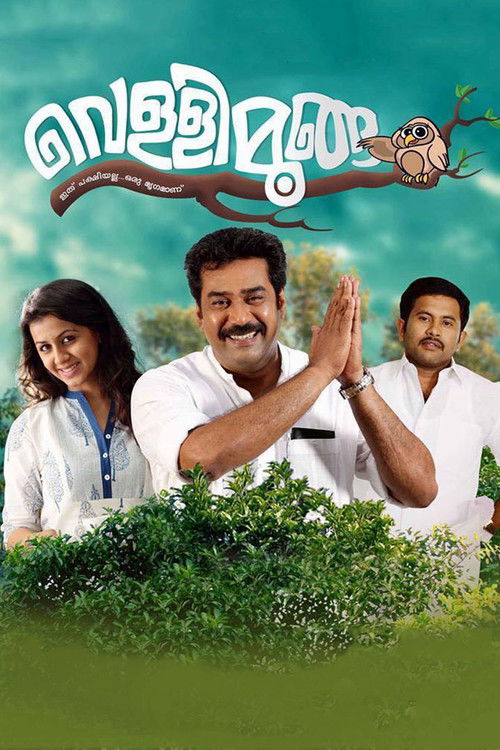 വെള്ളിമൂങ്ങ 海报