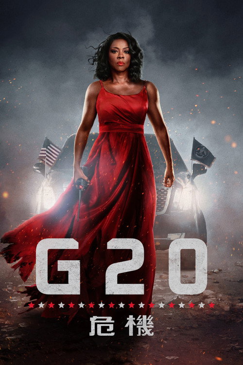 G20危机 海报