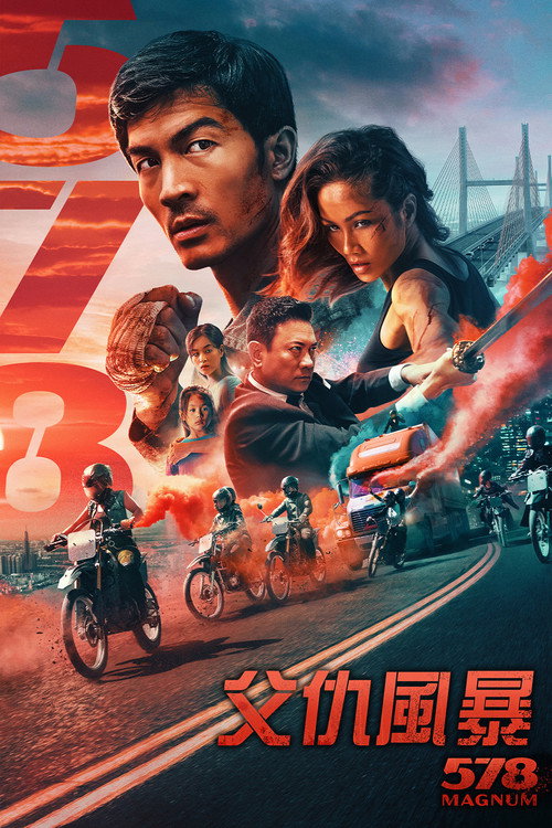 578：狂人一击 海报