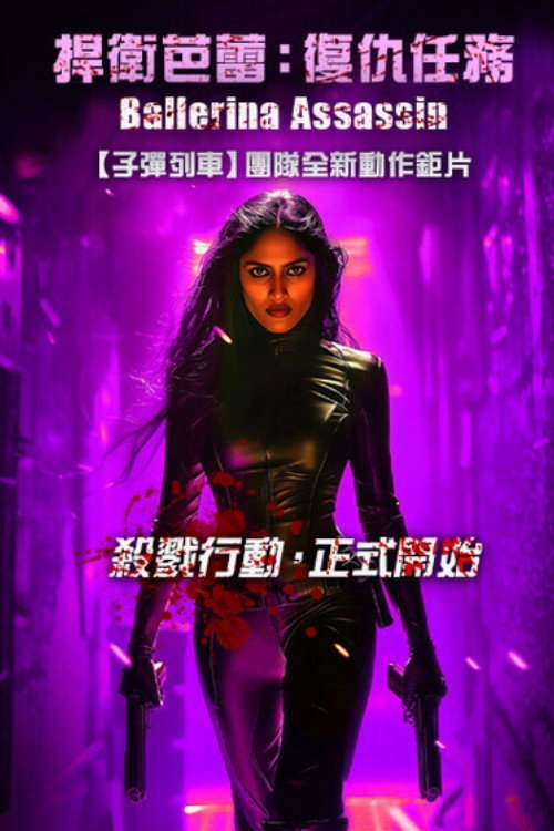 芭蕾女刺客 海报