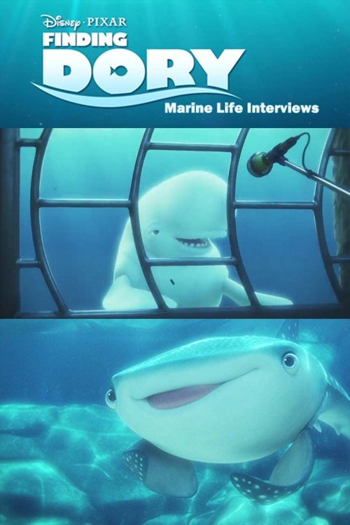 海洋生物访谈 海报