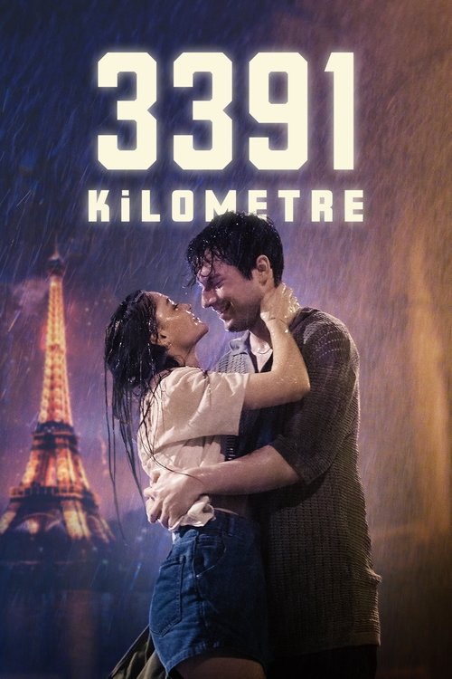 3391 Kilometre 海报