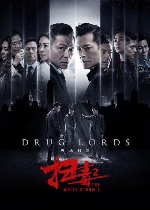 扫毒2：天地对决 海报