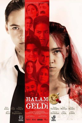 Halam Geldi 海报