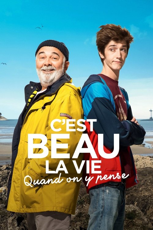 C'est beau la vie quand on y pense 海报
