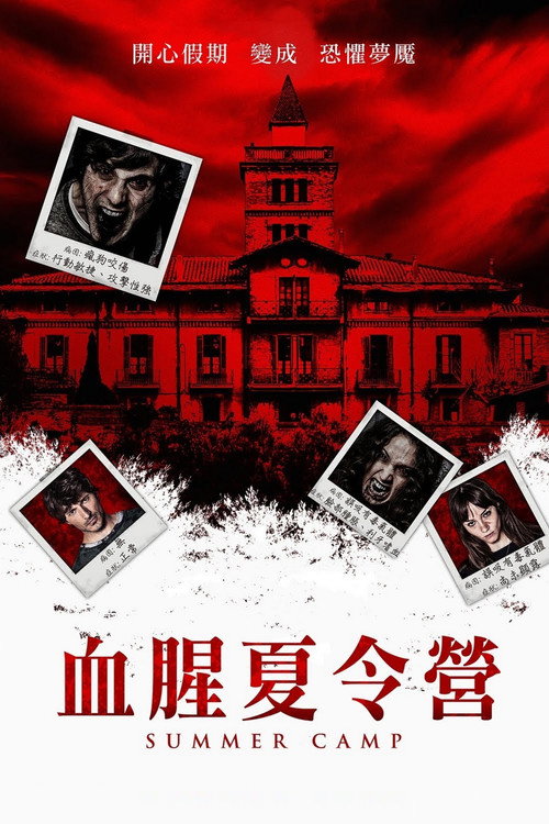 夏令营 海报