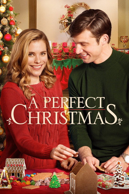 A Perfect Christmas 海报