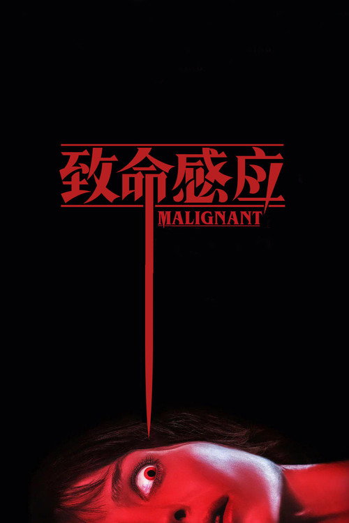 致命感应 海报