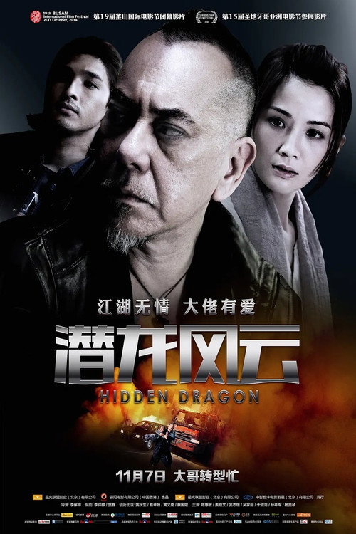 潜龙风云 海报