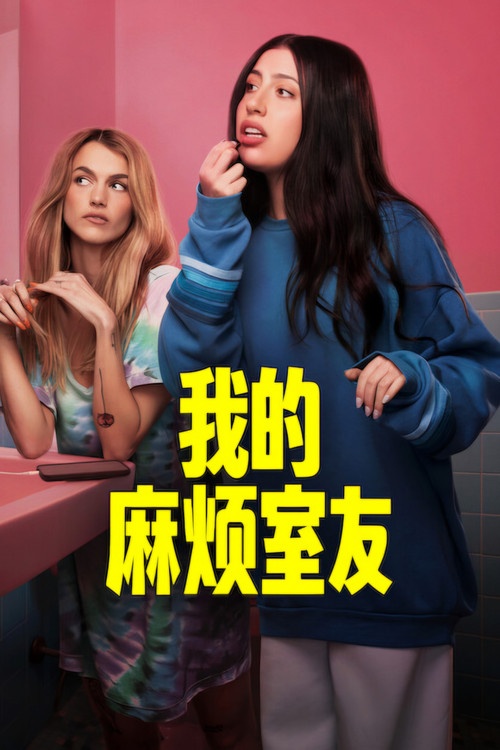 我的麻烦室友 海报