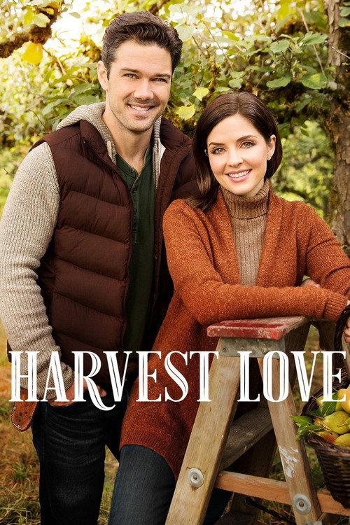 Harvest Love 海报