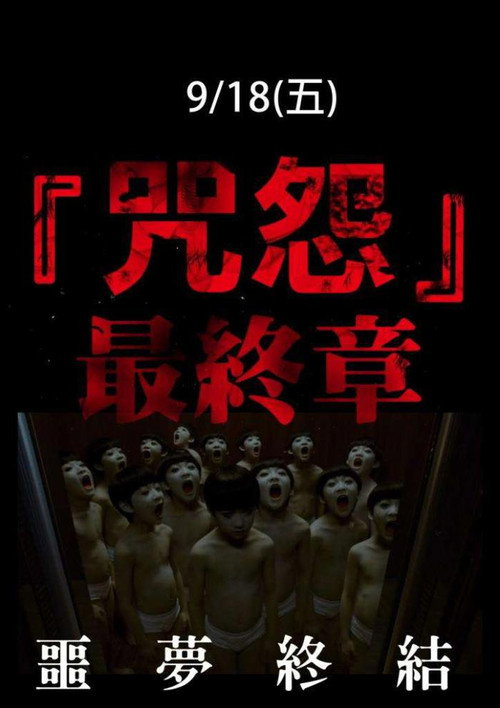 咒怨：完结篇 海报