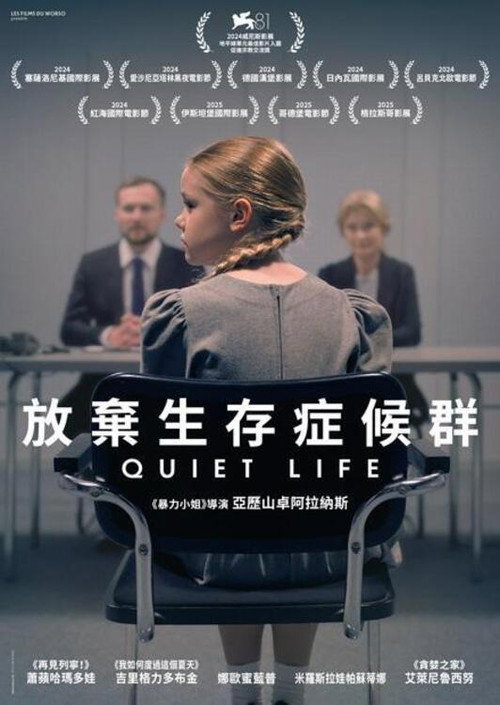 安静的生活 海报