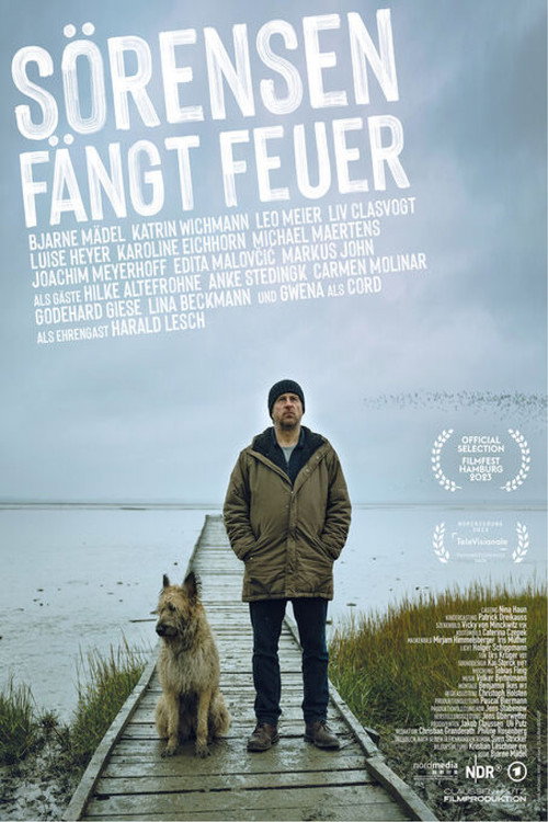 Sörensen fängt Feuer 海报