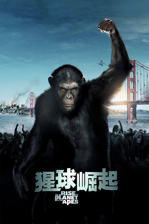 猩球崛起 海报