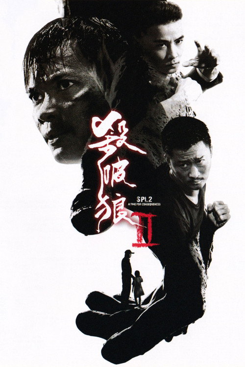杀破狼2 海报